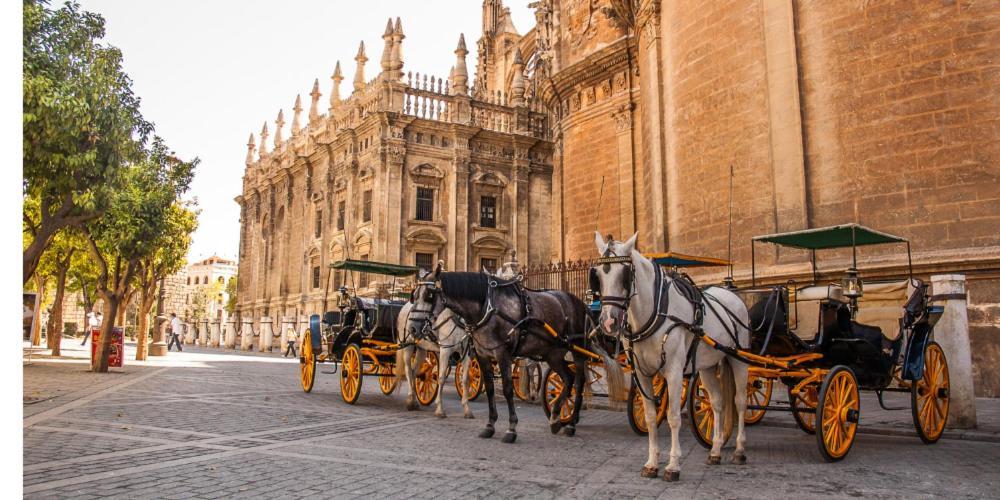 Chic Casa Cathedral At Calle Fresca 2-Bedroom Apartment In Malaga City Center 외부 사진